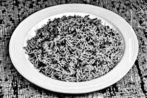 Singapuri Rice