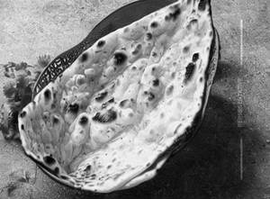 Roghini Naan