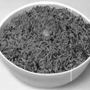 Masala Rice