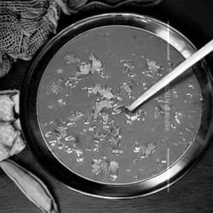 Fish Ginger Gravy