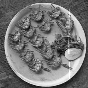 Dragon Prawn