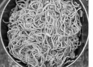 Gobi Schezwan Noodles