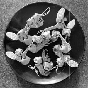 Crab Claws