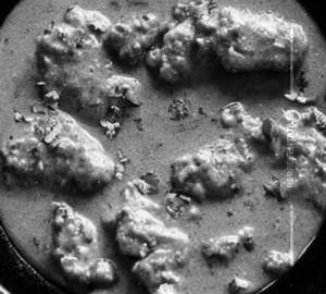 Pepper Chicken Gravy