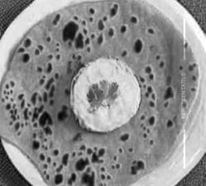 Gobi Parotta