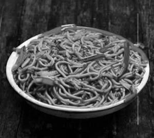 Schezwan paneer noodles