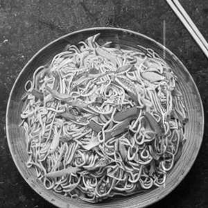 Mixed Chinese Noodles