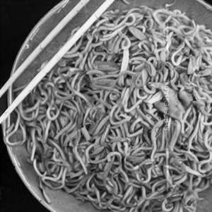 Hawkers Style Double Egg Noodles