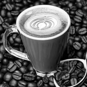 Coffee Moffee