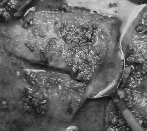 Fish Manchurian Gravy