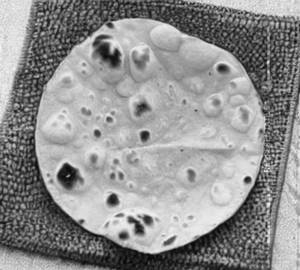 Butter tawa roti      