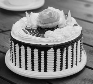Choco Vanilla Spider Cake (500Gm)