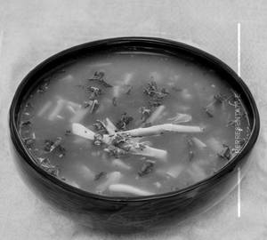 Garlic Soup