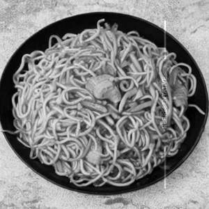 Special Noodles