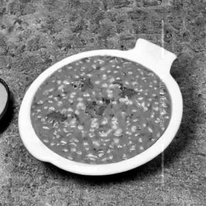 Shere Punjab Dal
