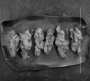 Bbq Chicken Fingers