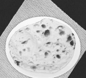 Plain tandoori roti
