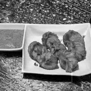 Paneer Tikka Cocktail Tandoori Fried Momos