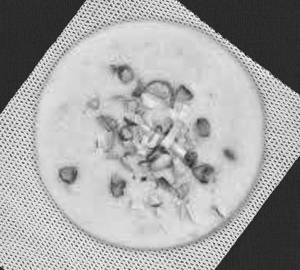Virat special sama kheer