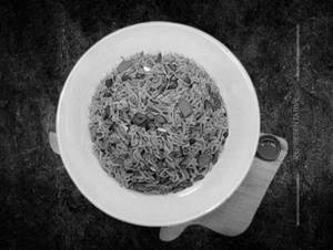 Veg Fortune Rice