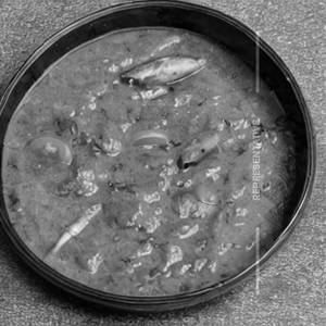 Veg Garden Rice Gravy