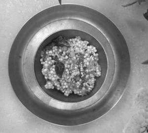Sabudana Khichdi