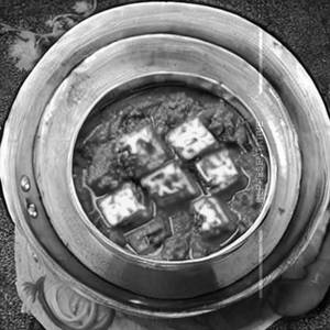 Mutter Paneer