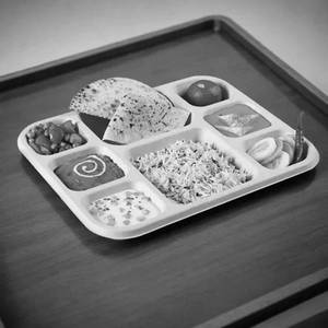 Thali - Meal Tray