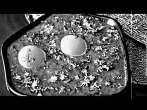 Egg Masala