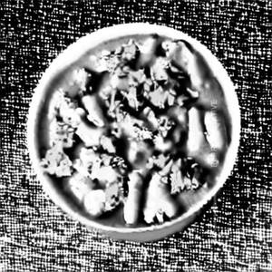 Veg Kurma