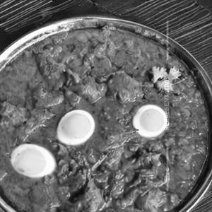 Egg Varuav 1 egg