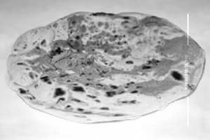 Tandoori poratha