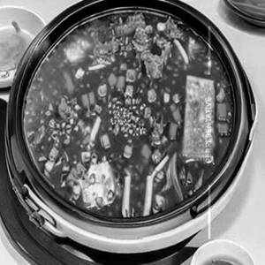 Mixed Fa Yian Hot Pot Soup  (large)