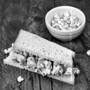 Chicken Cheese Corn