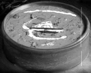 Shahi Paneer