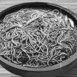 Egg Singapuri Noodles