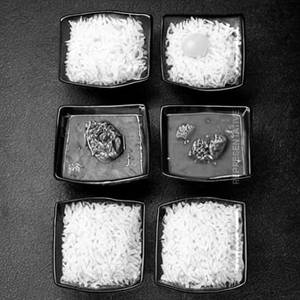 Steamed Rice  + Soft Drink (200ml)