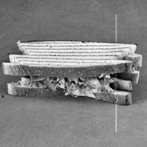 Jungle sandwich