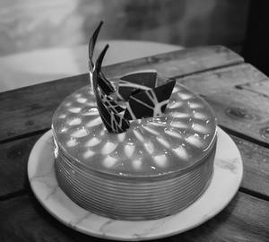 Fudge Choco Cake (450 G)