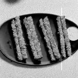 Crunchy Paneer Sticks
