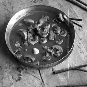 Mushroom Mutter