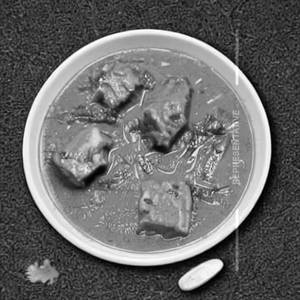 Kaju Curry
