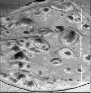 Butter Chapati