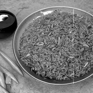 Sichuan Rice