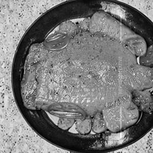 Tawa Fish