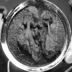 Chicken Dakbonglo (4 pc)