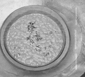 Plain dal