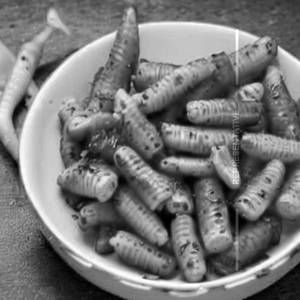 Baby Corn Pepper