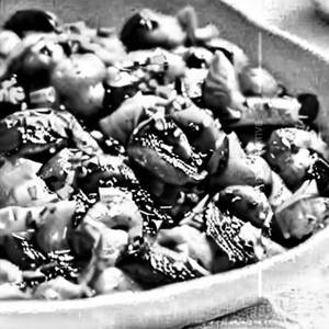 Butter Garlic Mushroom