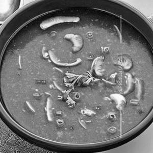 Mushroom Soup